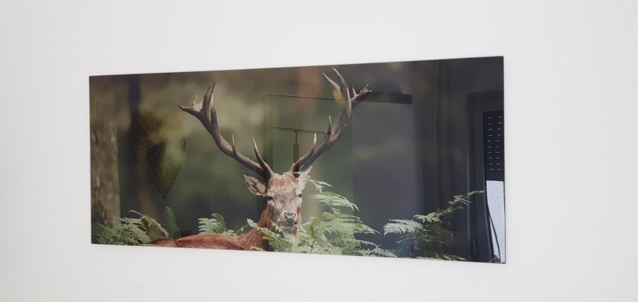Black Forest Kuckucksnest Schönwalde Exteriér fotografie