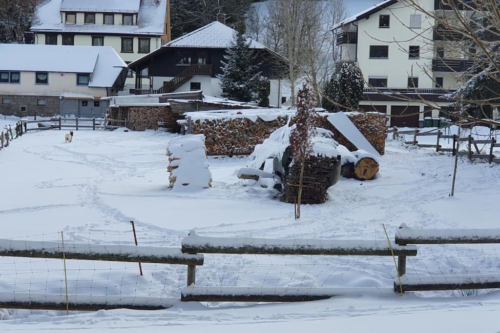 Black Forest Kuckucksnest Schönwalde Exteriér fotografie