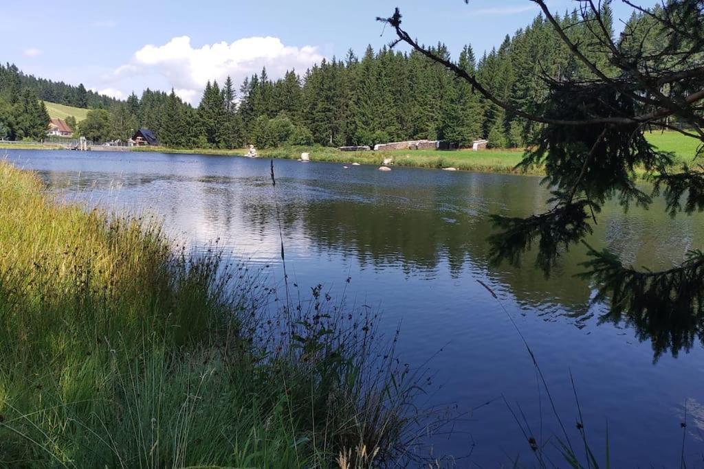 Black Forest Kuckucksnest Schönwalde Exteriér fotografie