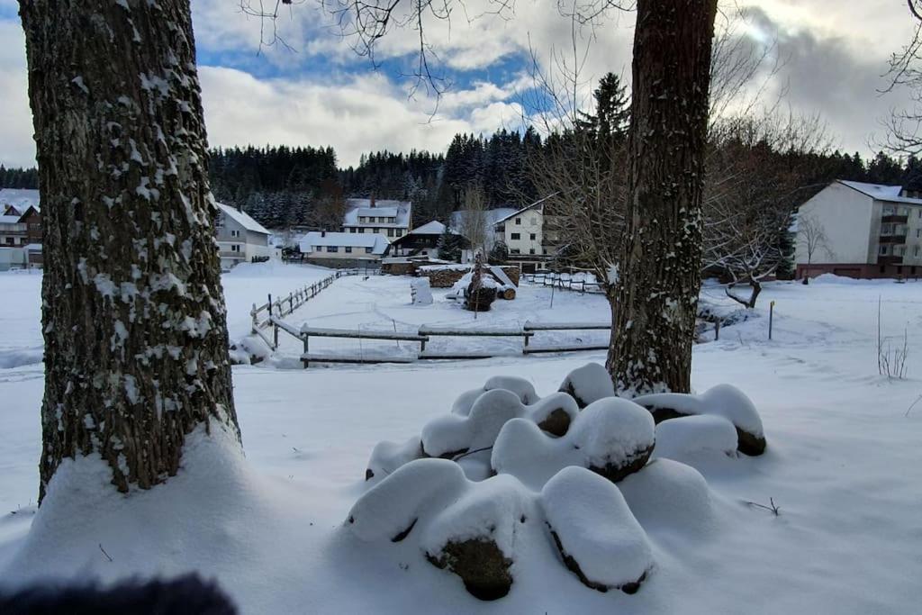 Black Forest Kuckucksnest Schönwalde Exteriér fotografie